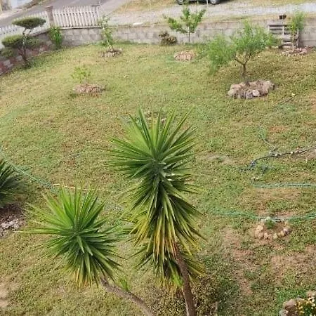 Sa Mendula Matzaccara